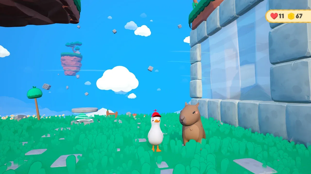 Dodo Duckie