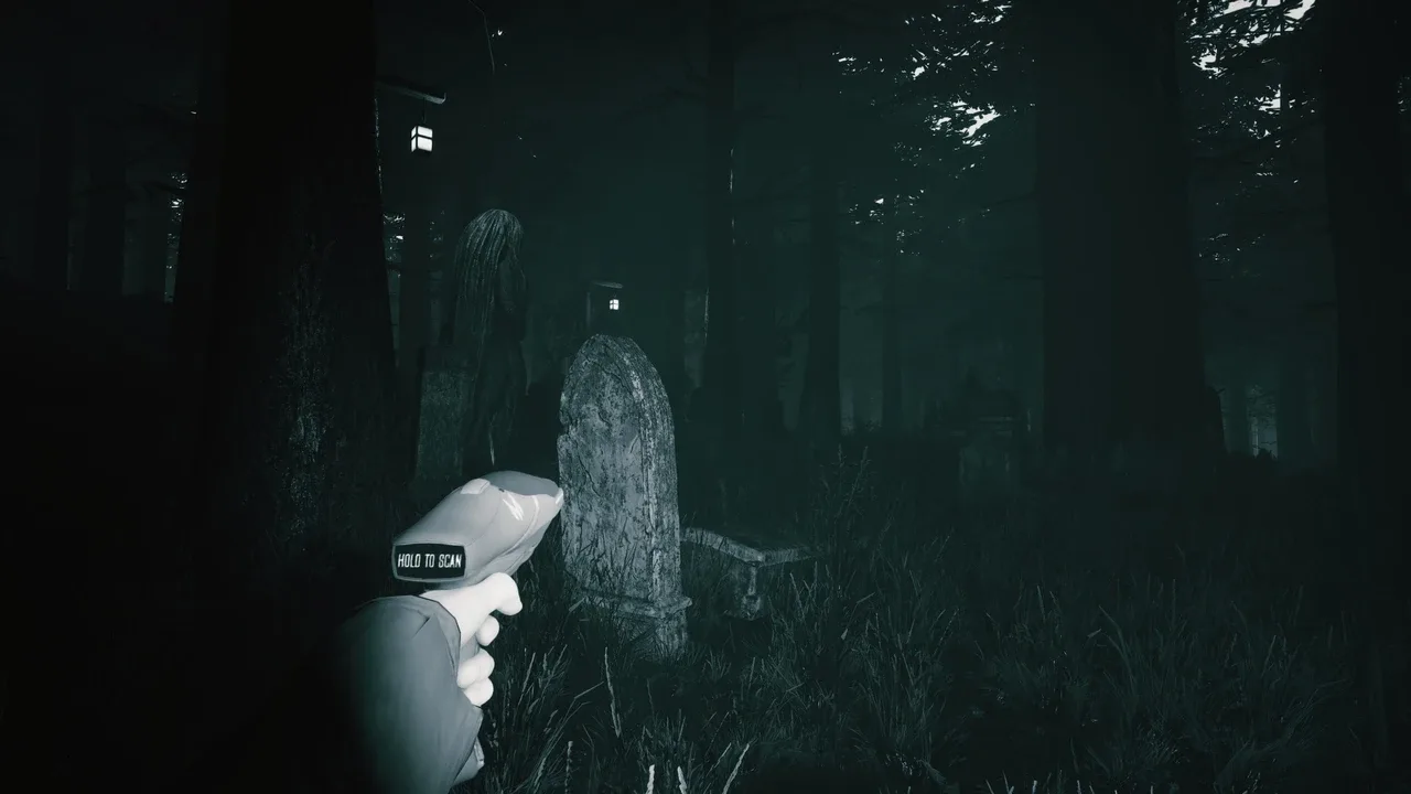 Mycelium: The Silent Contract