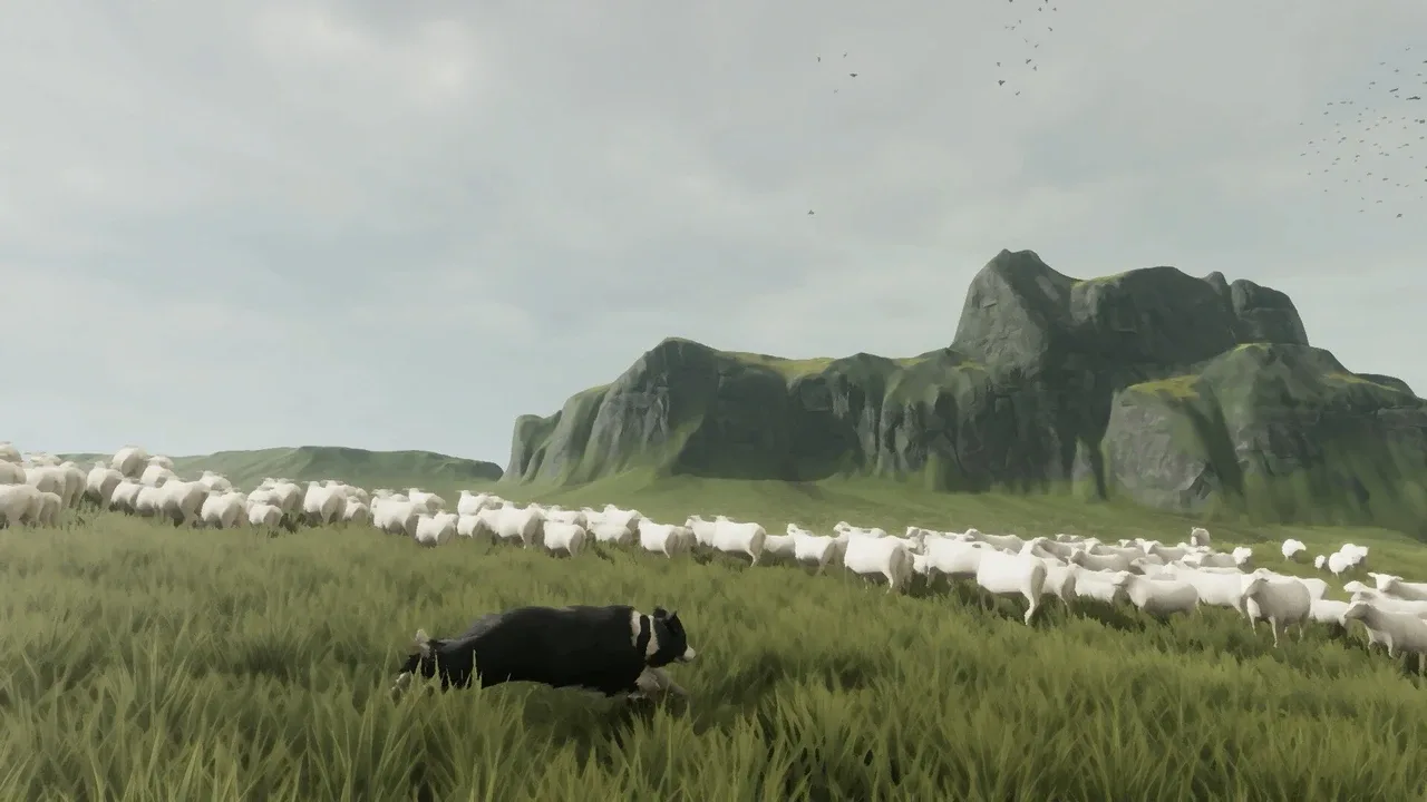 The Free Shepherd