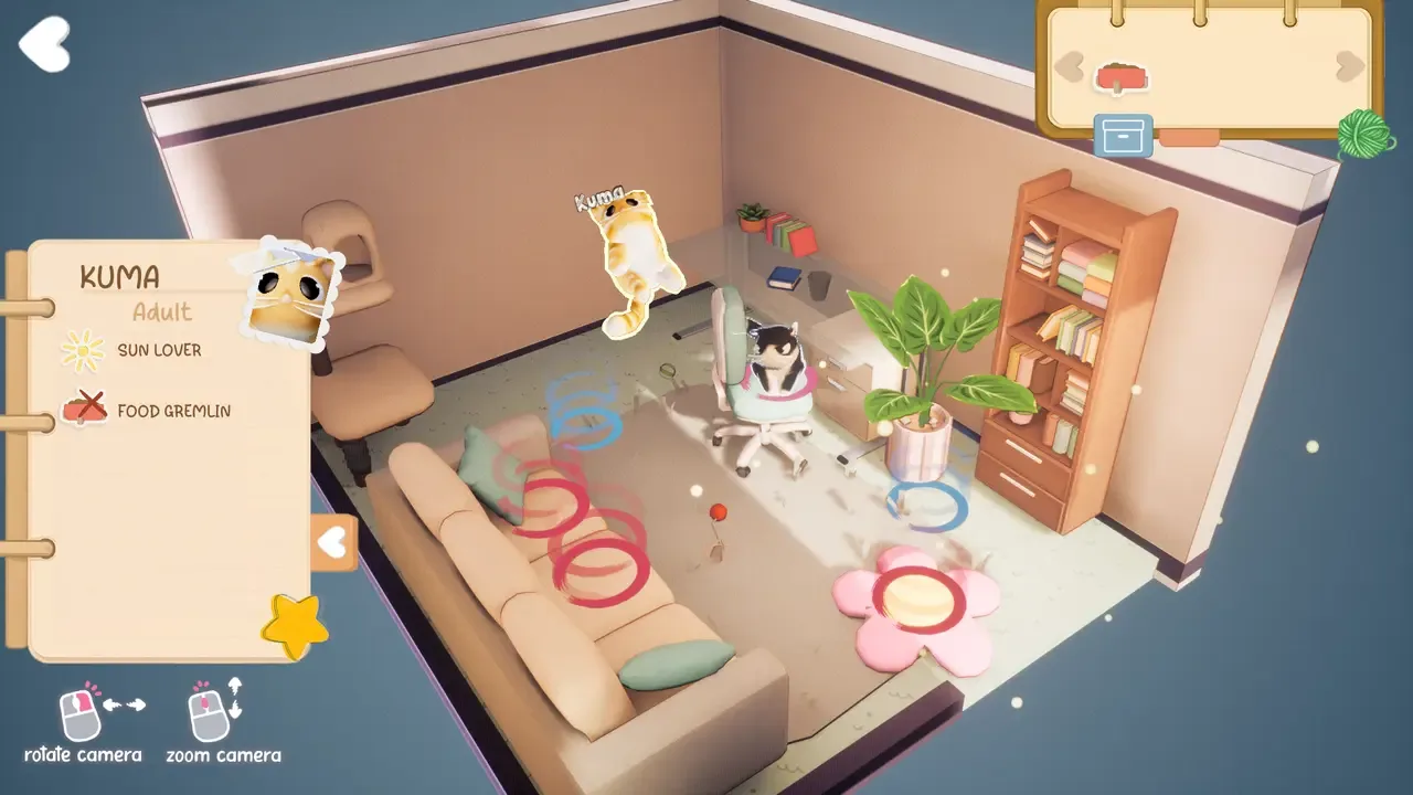 Kitty Haven
