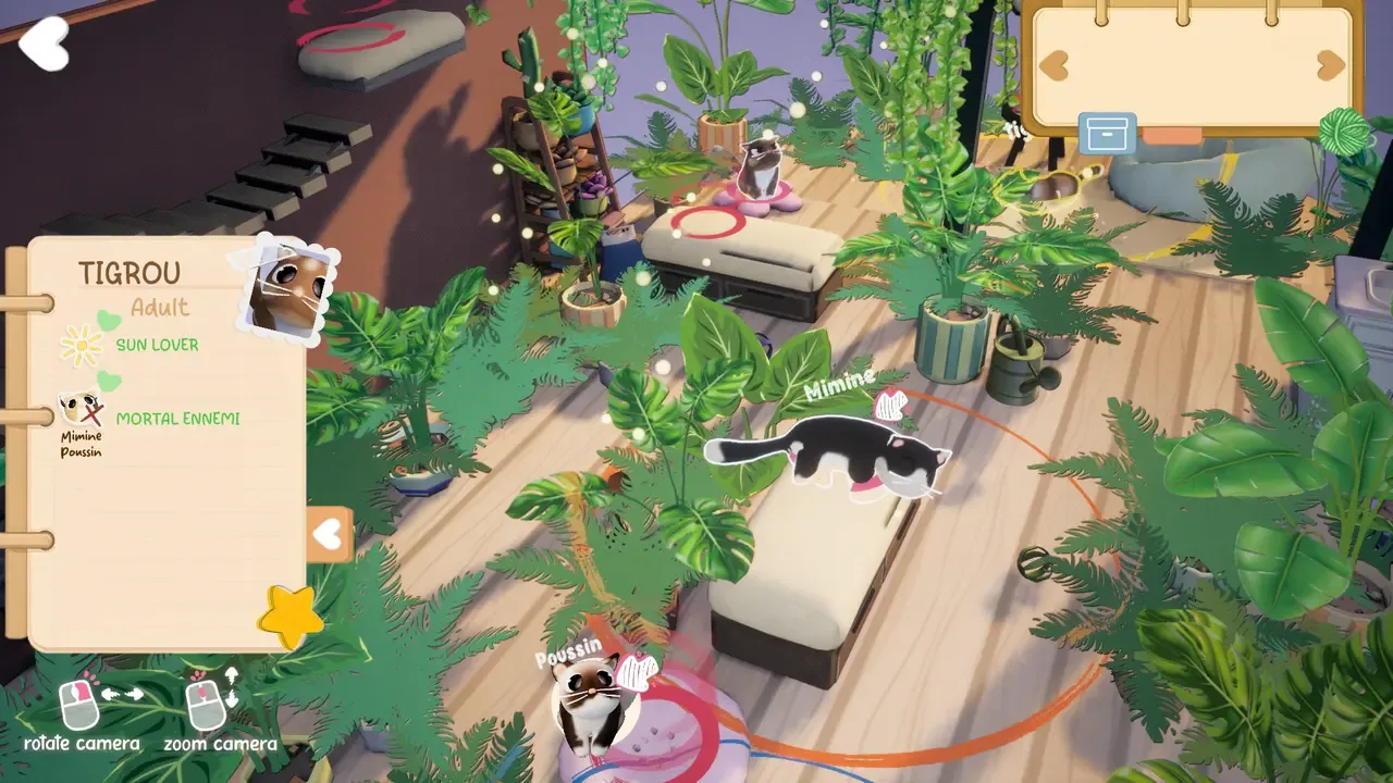 Kitty Haven