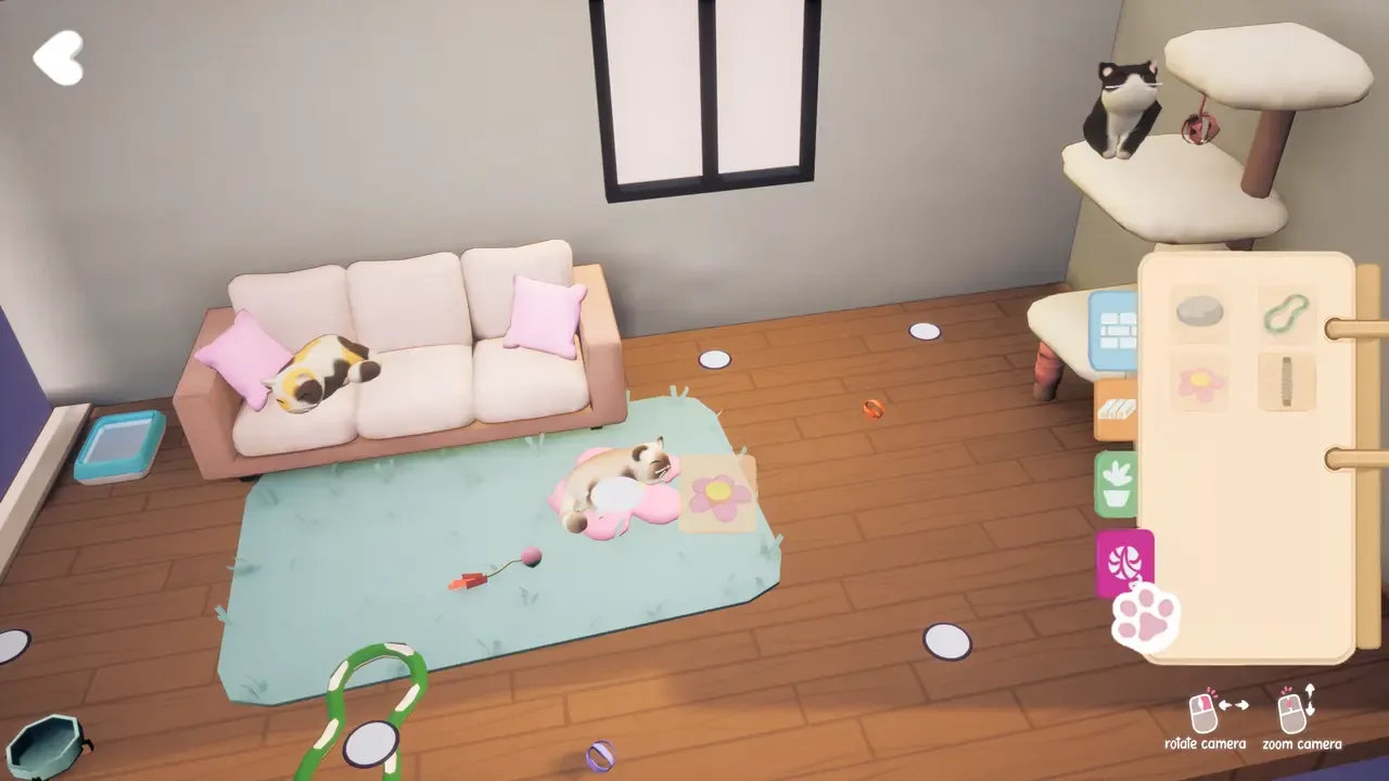 Kitty Haven
