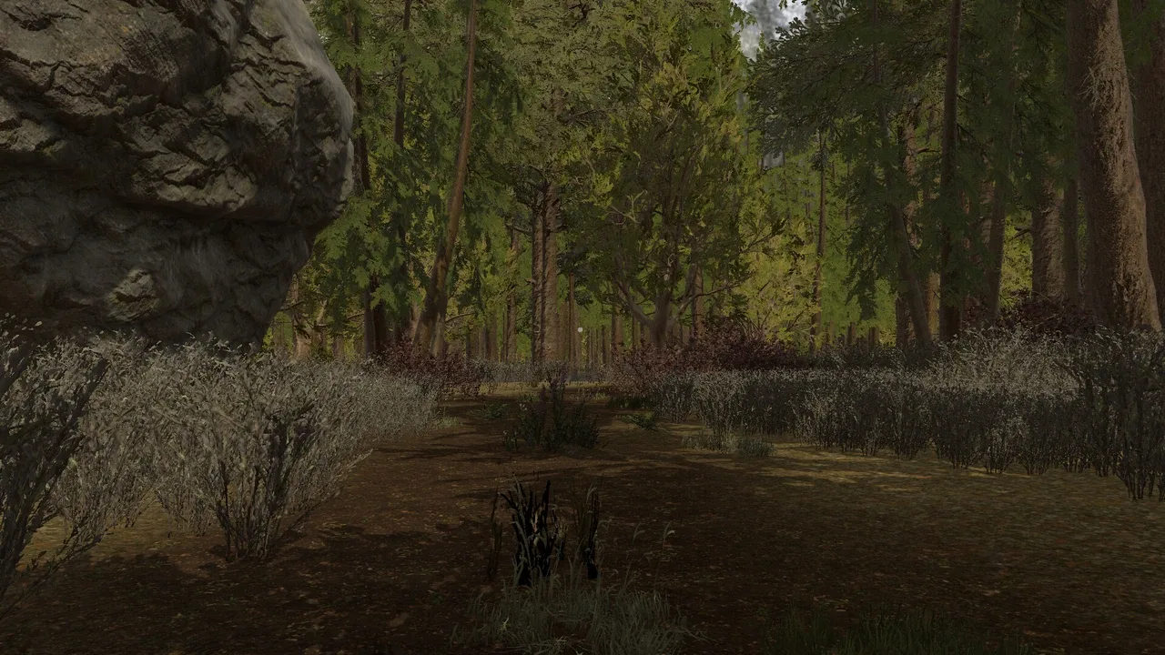 Whispers of Appalachia