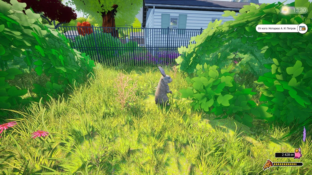 Dream Village