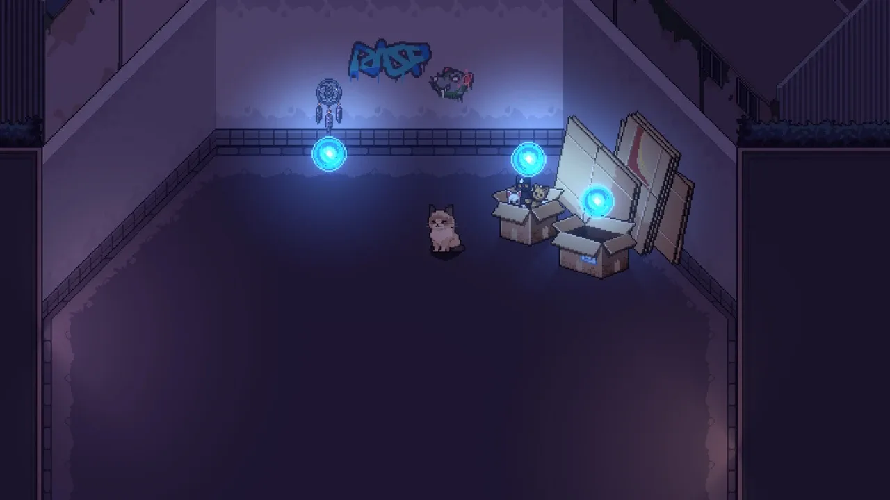 Stray Night