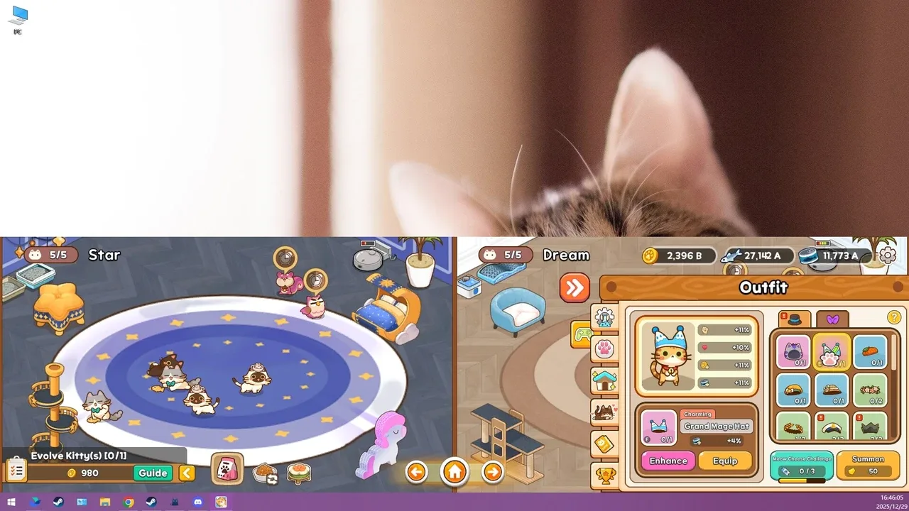 Meowniverse