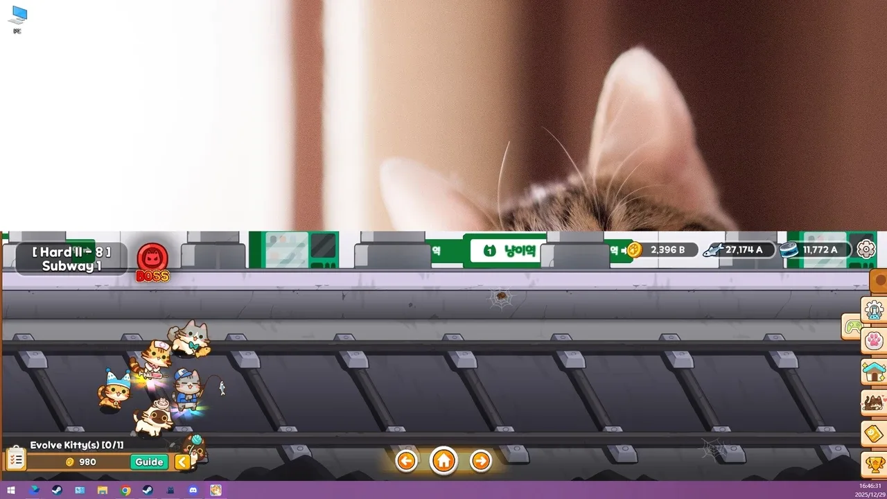Meowniverse