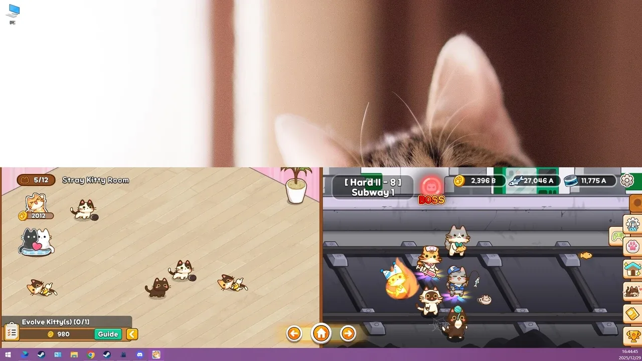 Meowniverse