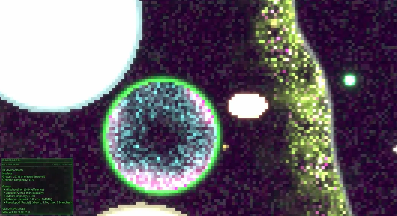 Substrate: Emergence