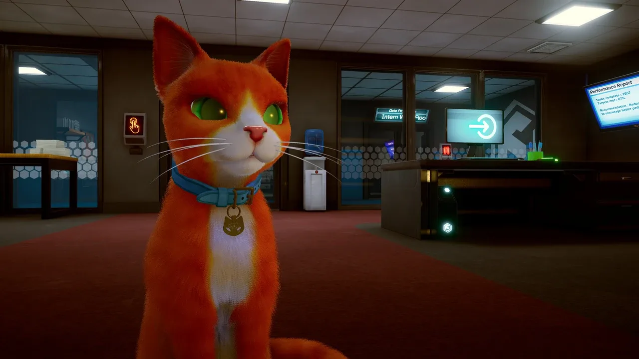 Schrodinger's Cat Burglar