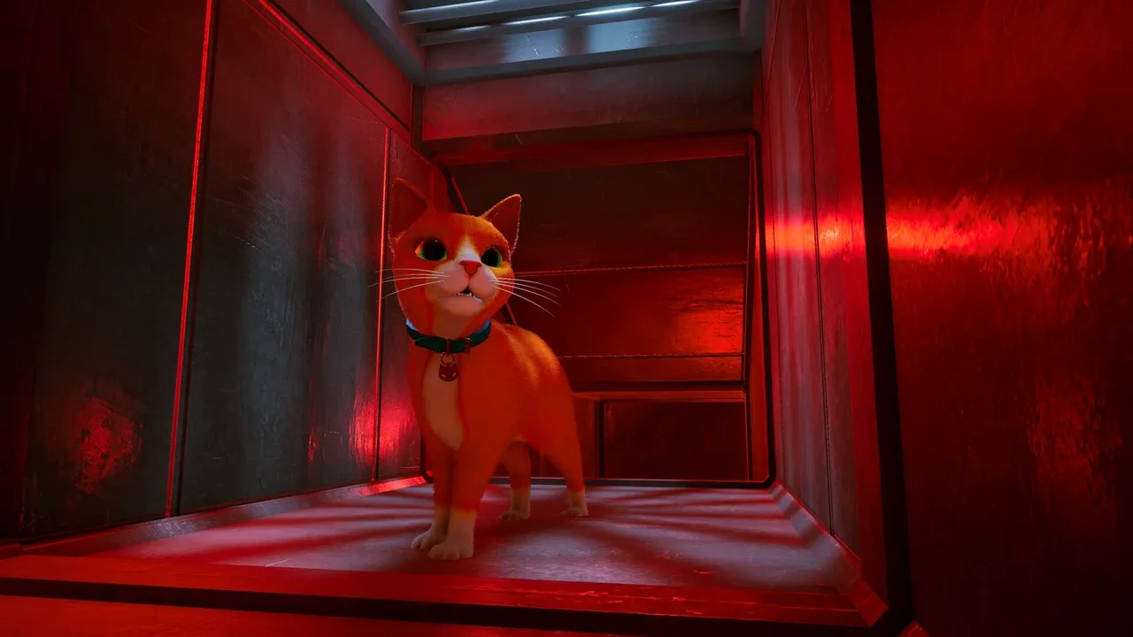 Schrodinger's Cat Burglar
