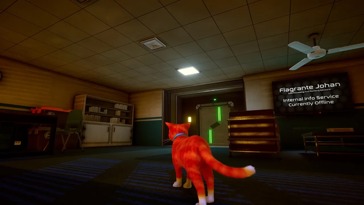 Schrodinger's Cat Burglar