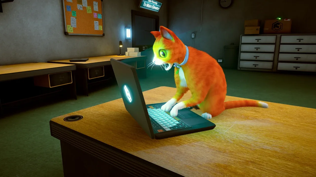 Schrodinger's Cat Burglar