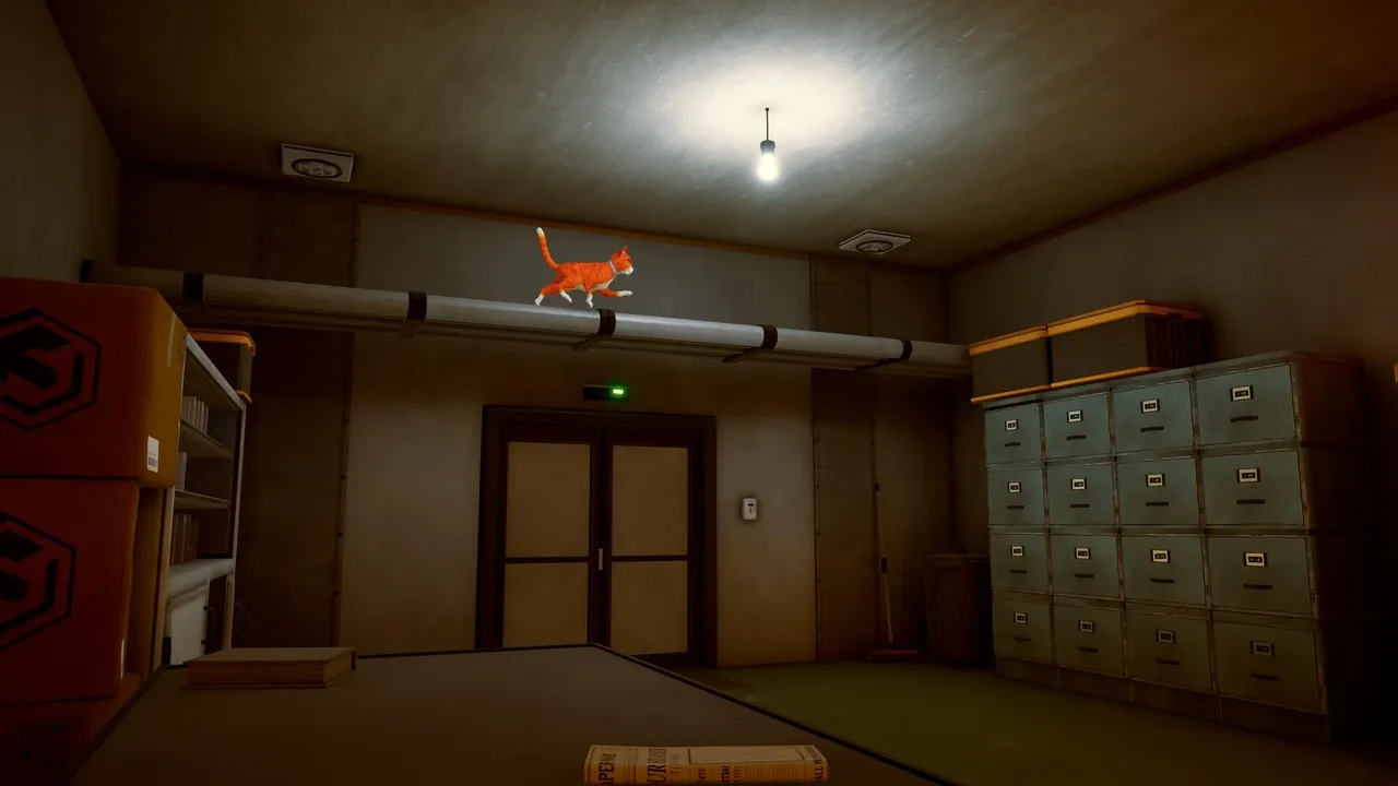 Schrodinger's Cat Burglar