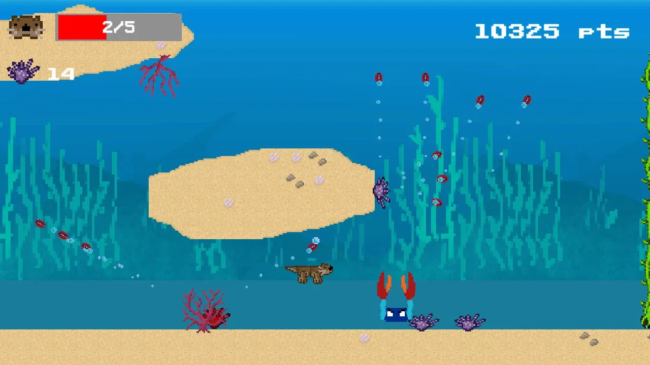 Kelp Keeper